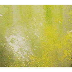 Peinture effets 40 ml : environnement salissure humide claire