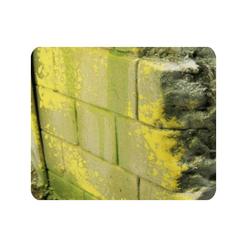 Peinture effets 40 ml : environnement moisissure et lichen