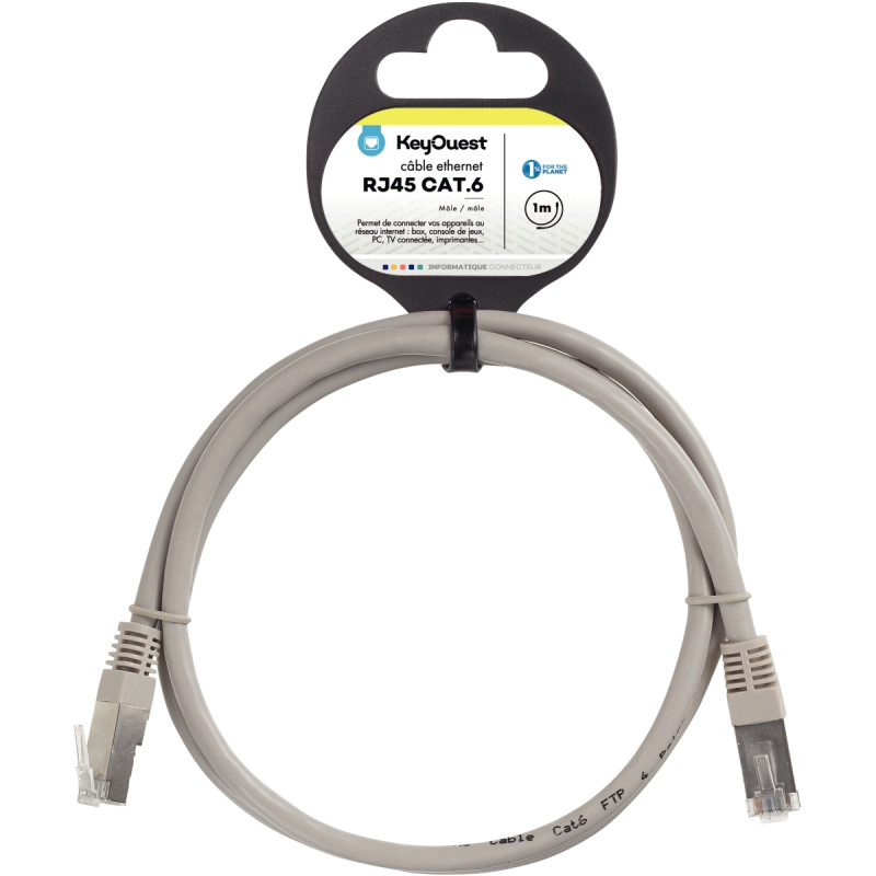 Cordon RJ45 catégorie 6 1m gris