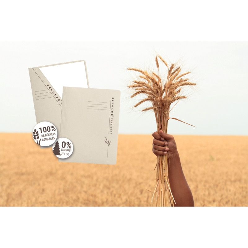 Paquet de 10 pochettes coin découpées TREE-FREE