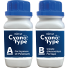 Kit Cyanotype