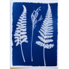 Kit Cyanotype