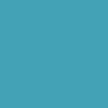 Carton de 10 protège-documents MEMPHIS 30 pochettes fixes 60 vues coul