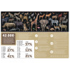 Puzzle panoramique 200 pièces, les animaux menacés