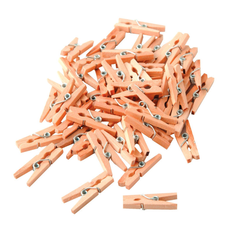 Sachet de 48 mini pinces à linge en bois brut